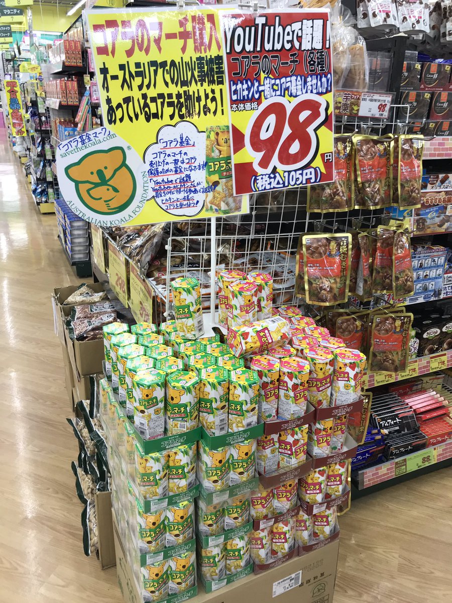 コアラ募金🐨 コアラのマーチを買うと、オーストラリアのコアラたちへ
