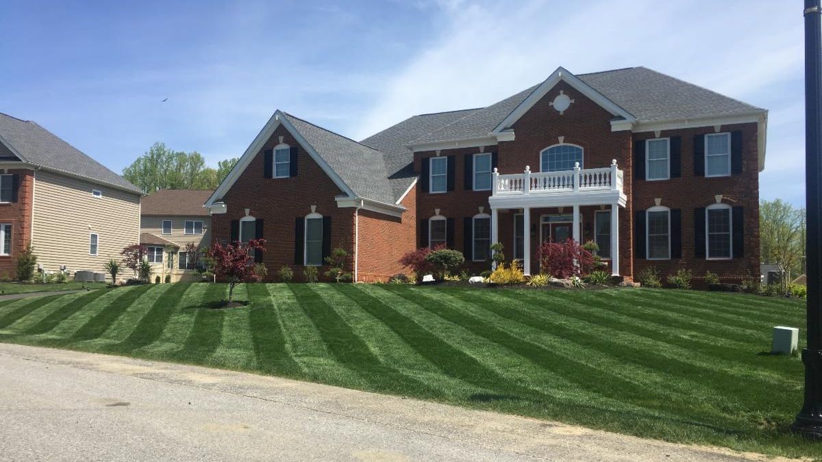 What Should I Do for My Lawn in February? conta.cc/3bwFaCn