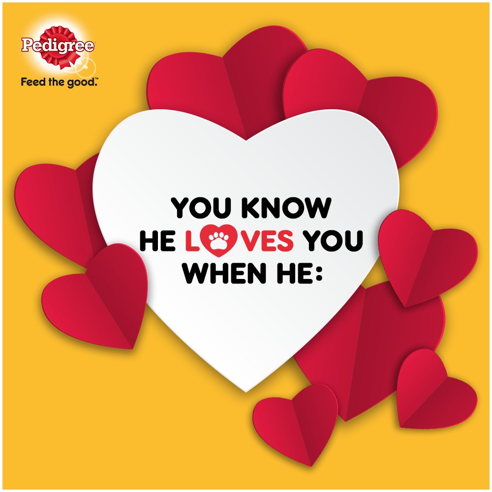 Pedigree India on Twitter: Pedigree India on Twitter: