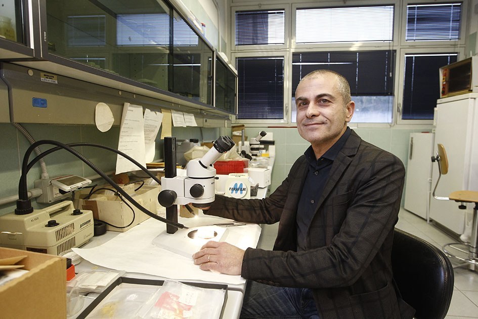 SIENANEWS's tweet photo. L'università ha vinto un bando di ricerca da oltre 400mila euro per un progetto sull'insetto Popillia Japonica... https://t.co/S2hXrsLLAO https://t.co/II5Q5czIm9