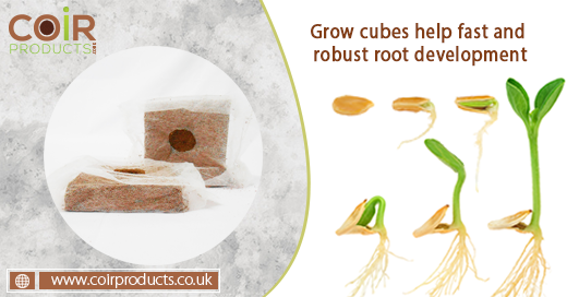 CoirProductsUK's tweet photo. Our grow cubes have a high air holding capacity and good drainage which help plants develop quickly.
Now you can get your #GrowCubes quicker than ever via our ONLINE STORE - https://t.co/M09K7s8zOy and have them delivered to your door-step!
#CoirProducts #CoirProductsUK https://t.co/IOguxCjzUq