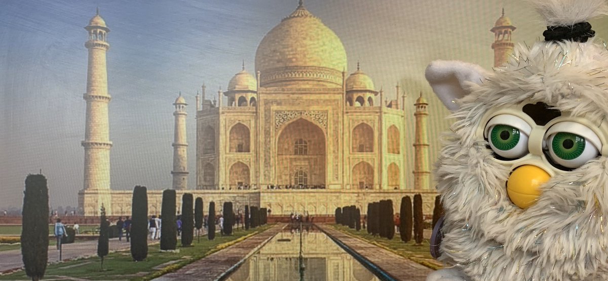 jerald_hhs's tweet image. After a relaxing holiday in Fiji, I’m enjoying the beautiful culture, buildings and food of India. #whereshouldjeraldgonext