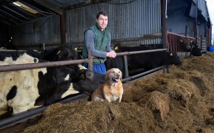 Meath's Padraic Harnan: 'It's hard: you can't farm if you're injured, but I won't quit football' buff.ly/2vqE62m