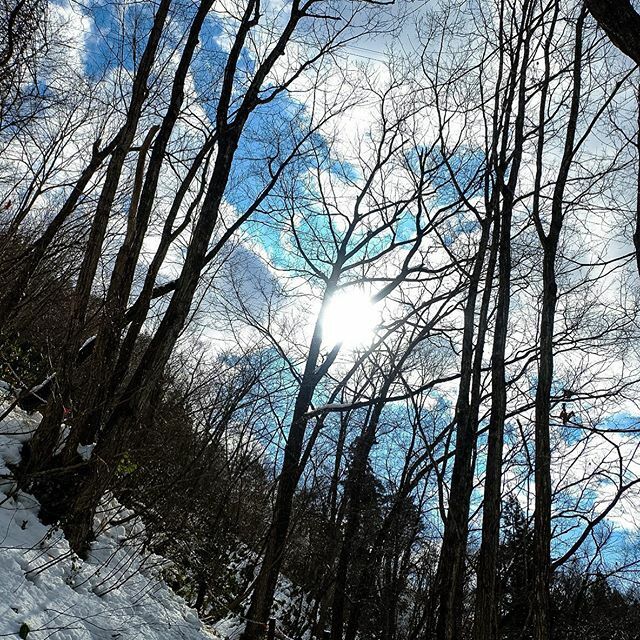 moonbeach777's tweet photo. 冬の木漏れ日 https://t.co/HjFxAS9VdW https://t.co/bEOyP6xfOl