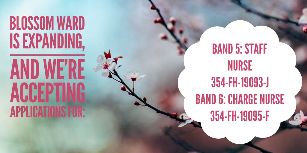 Are you passionate about working with women? Can you bring care, compassion and commitment to our ladies? We are on the look-out for dedicated B5 and B6 RMNs to join our dynamic team. If you think this sounds like you, click here:
jobs.nhs.uk/xi/vacancy/?va…
jobs.nhs.uk/xi/vacancy/?va…
