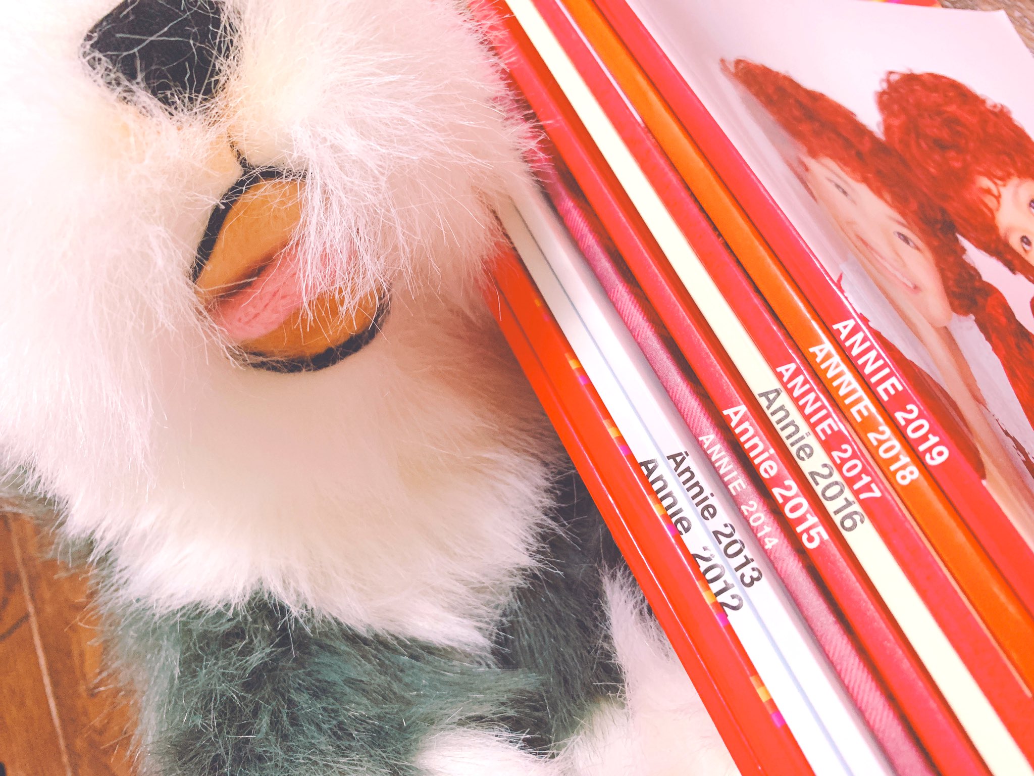 Twitter এ のんちゃん 神木くんへ 私がどれだけミュージカル アニーが大好きかを見てやって下さい 歴代のアニーグッズやcdたちも沢山あります サンディも ハリコナアニー 一緒に歌おう キレイ 神様と待ち合わせした女 アニー 神木くん見て