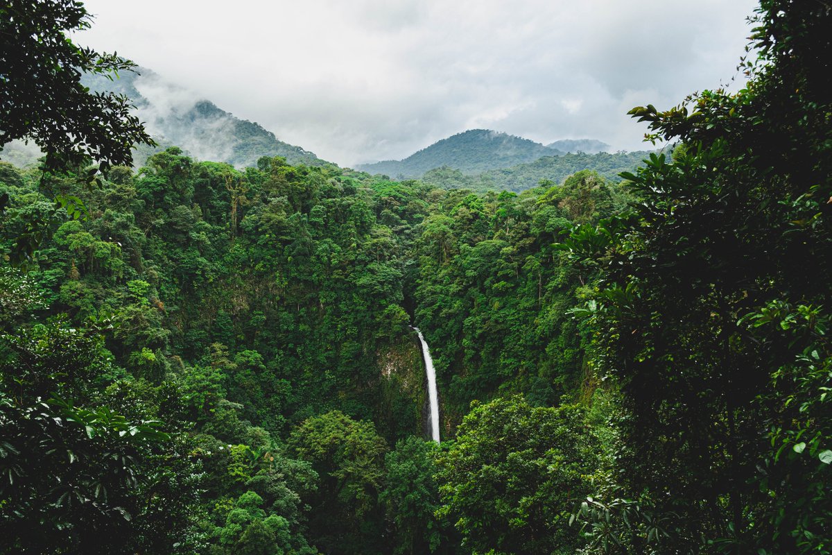 We are pleased to announce a call for applications for the position of Executive Secretary for the Secretariat of the Convention on Biological Diversity.

Learn about the position &amp; find out how to apply here: unenvironment.org/work-with-us