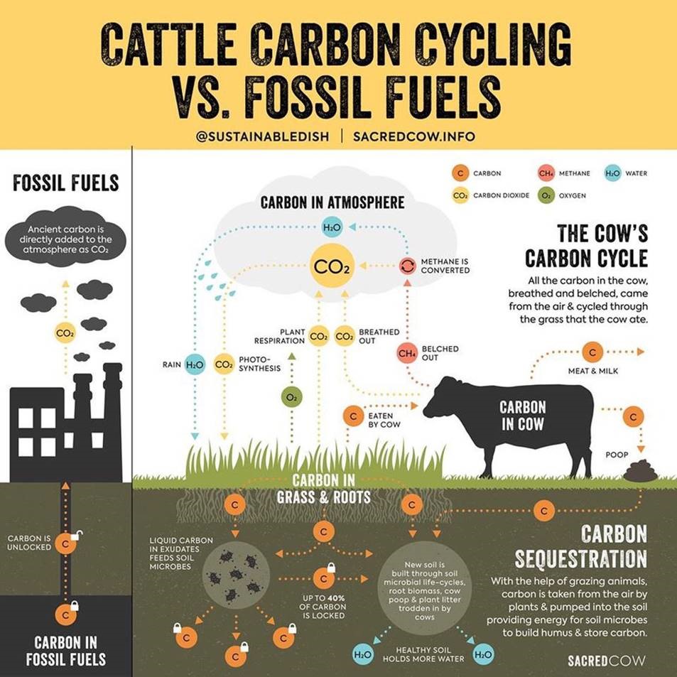 Research from <a href="/ghgguru/">Frank Mitloehner</a> and <a href="/oxmartinschool/">Oxford Martin School</a> shows that methane is different to other climate gasses as it is both produced and DESTROYED as part of a cow’s natural carbon cycle. Time for the accounting rules to change #climatebalance