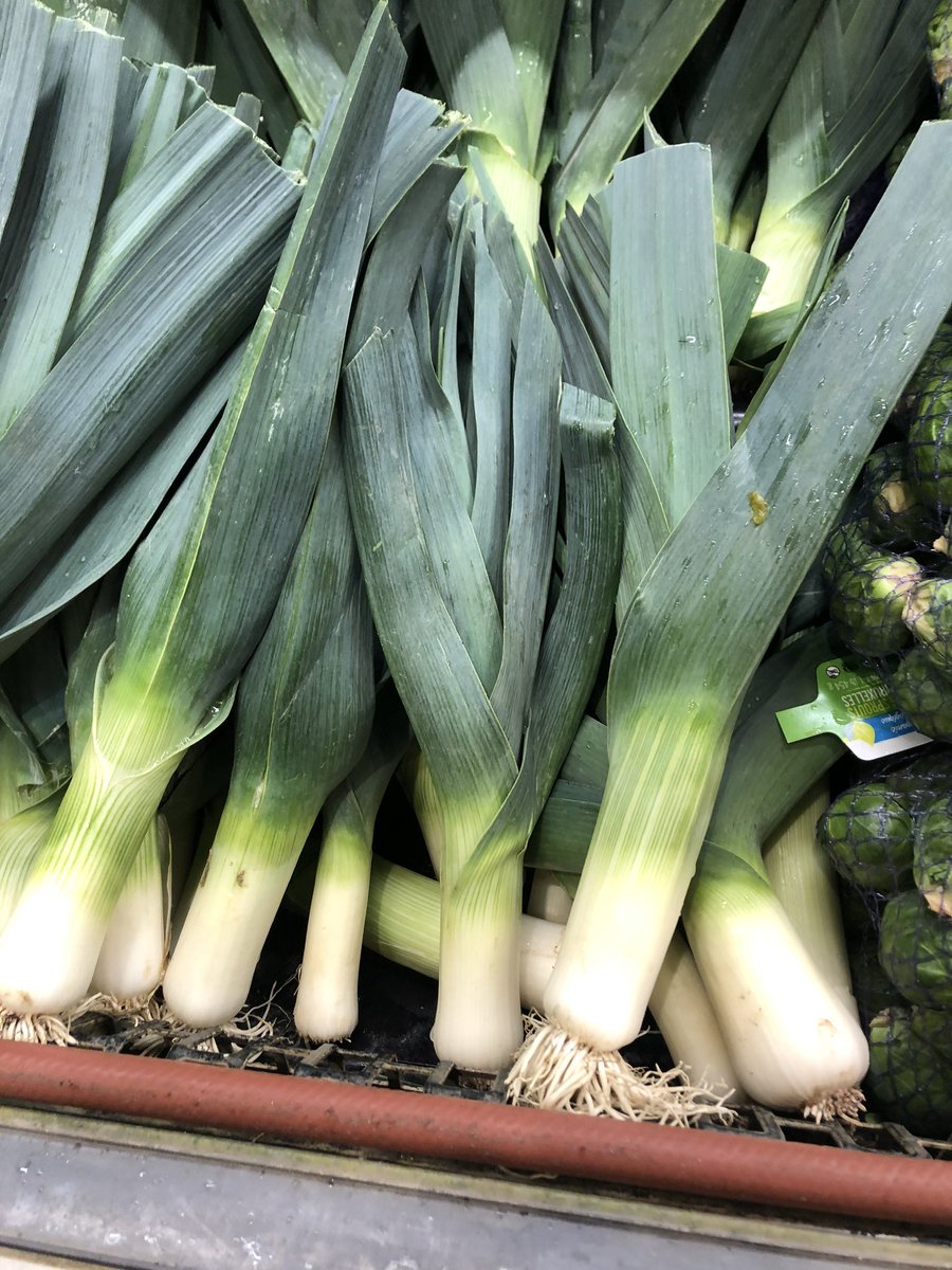What’s up with these micro-leeks? There’s like 1-2” of useable leek here. <a href="/WholeFoods/">Whole Foods Market</a> #freshpond #choads