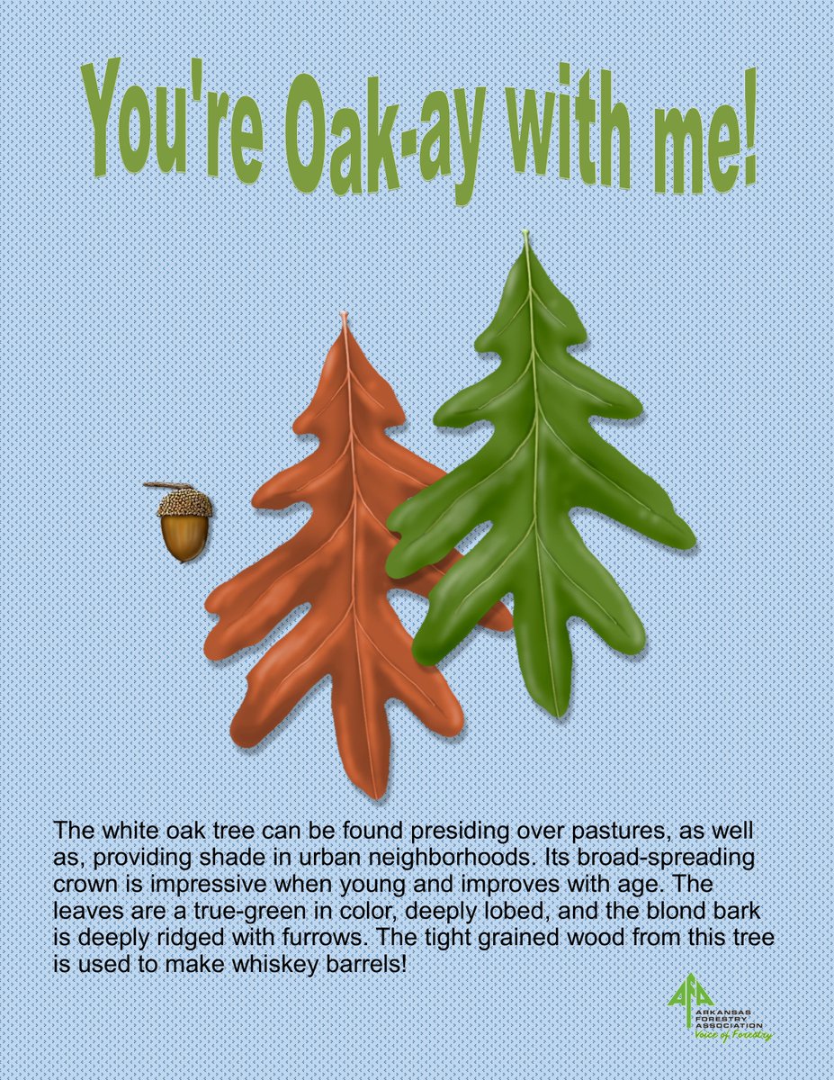 arkforests's tweet photo. In need of a Valentine’s Day card? Don’t worry, AFA has you covered. Share your love of trees with the person you love this Feb. 14! #arkforests https://t.co/nEu1ahqC6j