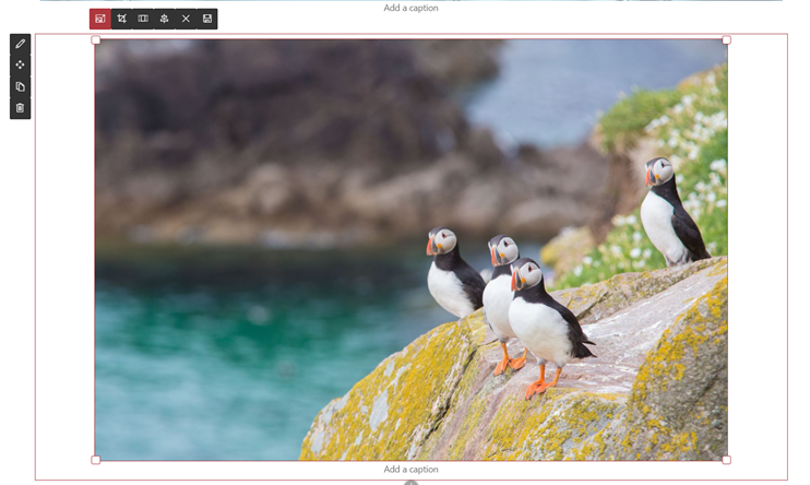 SharePoint's tweet image. Resize a photo within the #SharePoint Image web part. msft.it/6011Twi61