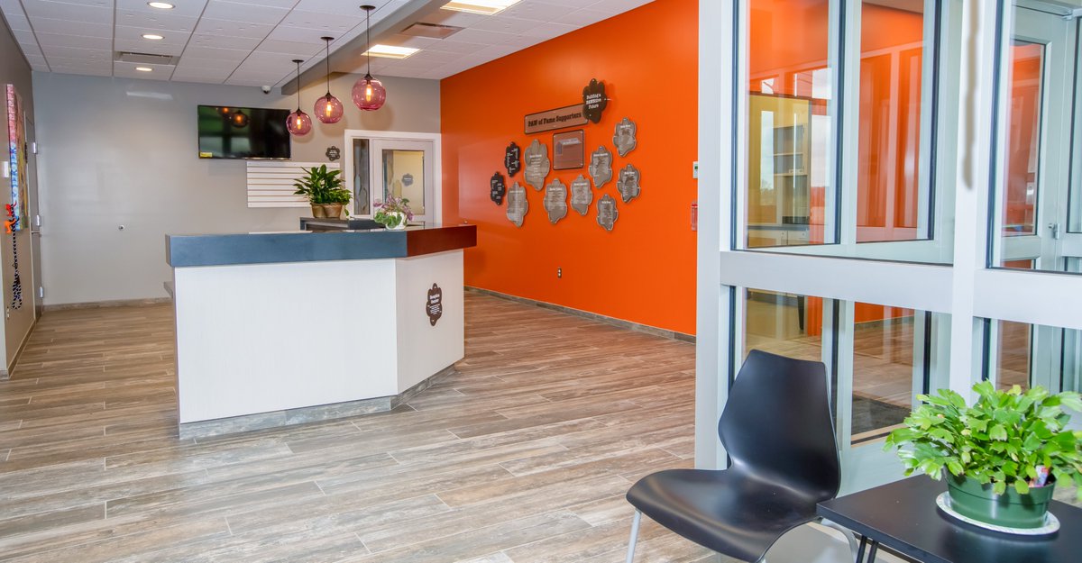 11fiftyseven's tweet image. Check out this recognition designed, fabricated and installed for Shelby County Animal Shelter located in our hometown of Sidney, Ohio!
#donorrecognition #capitalcampaign #nonprofit