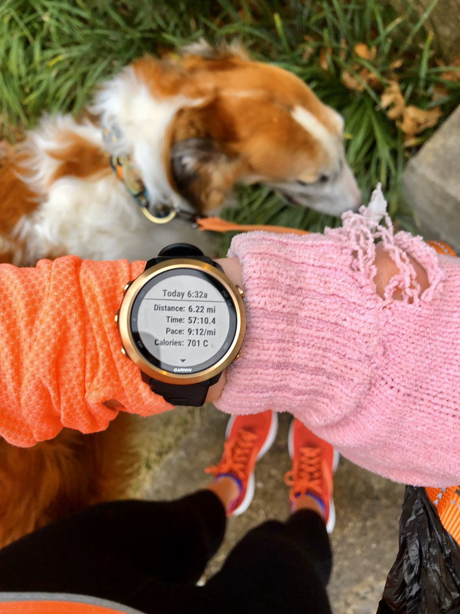 jennaruns's tweet image. Happy Thursday! 6.2 miles in the bank for me and 1.2 for Charlie boy 🐶💖 #runwithdogs #dogmom #runhappy #DogsofTwittter