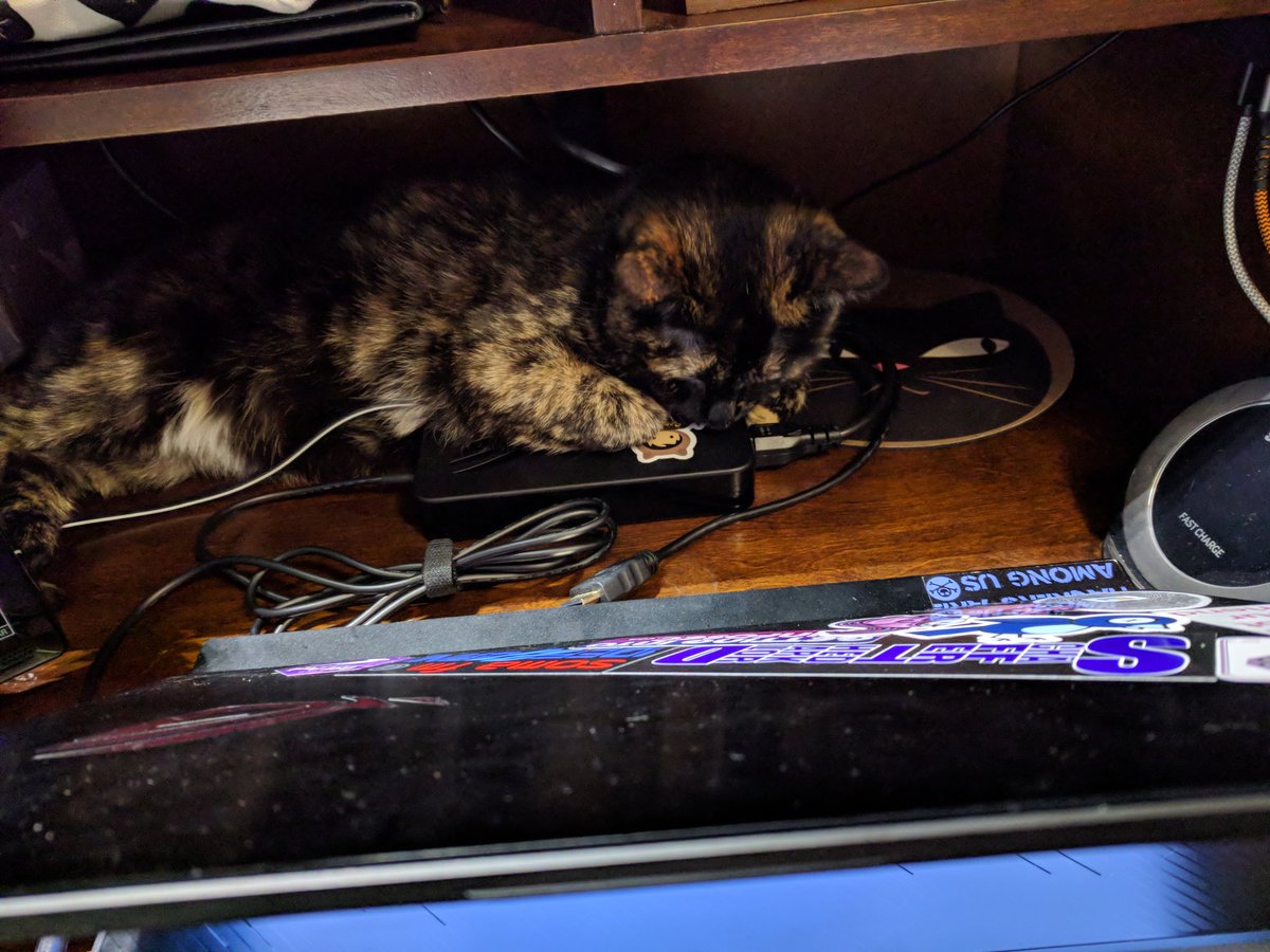 LunaSylumDancer's tweet image. After realizing my attention whore of a cat hadn't bothered me for a while, I wondered where she could be....

Yup, inside my desk, behind my laptop, using the power brick like a heat rock. Thinking about calling her my furry lizard now #catladyproblems #tortiesareweird