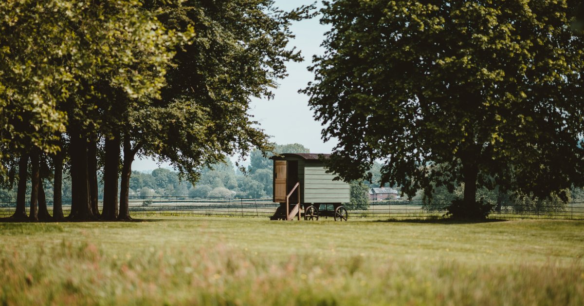 From safari tents to yurts, domes to geodomes, more of us are turning to cosy and stylish camping options to get the most out of the great outdoors, whilst not curbing on our home comforts. How do you prefer to explore the great outdoors?

bit.ly/2tQLmEa