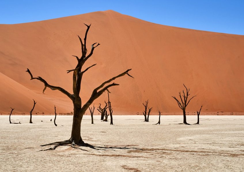 e_kaspersky's tweet photo. When in Namibia - go straight to Namib-Naukluft National Park 🏜️ Climb the dunes, sit, chill, meditate on the surrounding landscapes and decide you'll come back again. That's what I did recently ⇒ https://t.co/yj2I3K2ClQ https://t.co/c8kZyScwXI