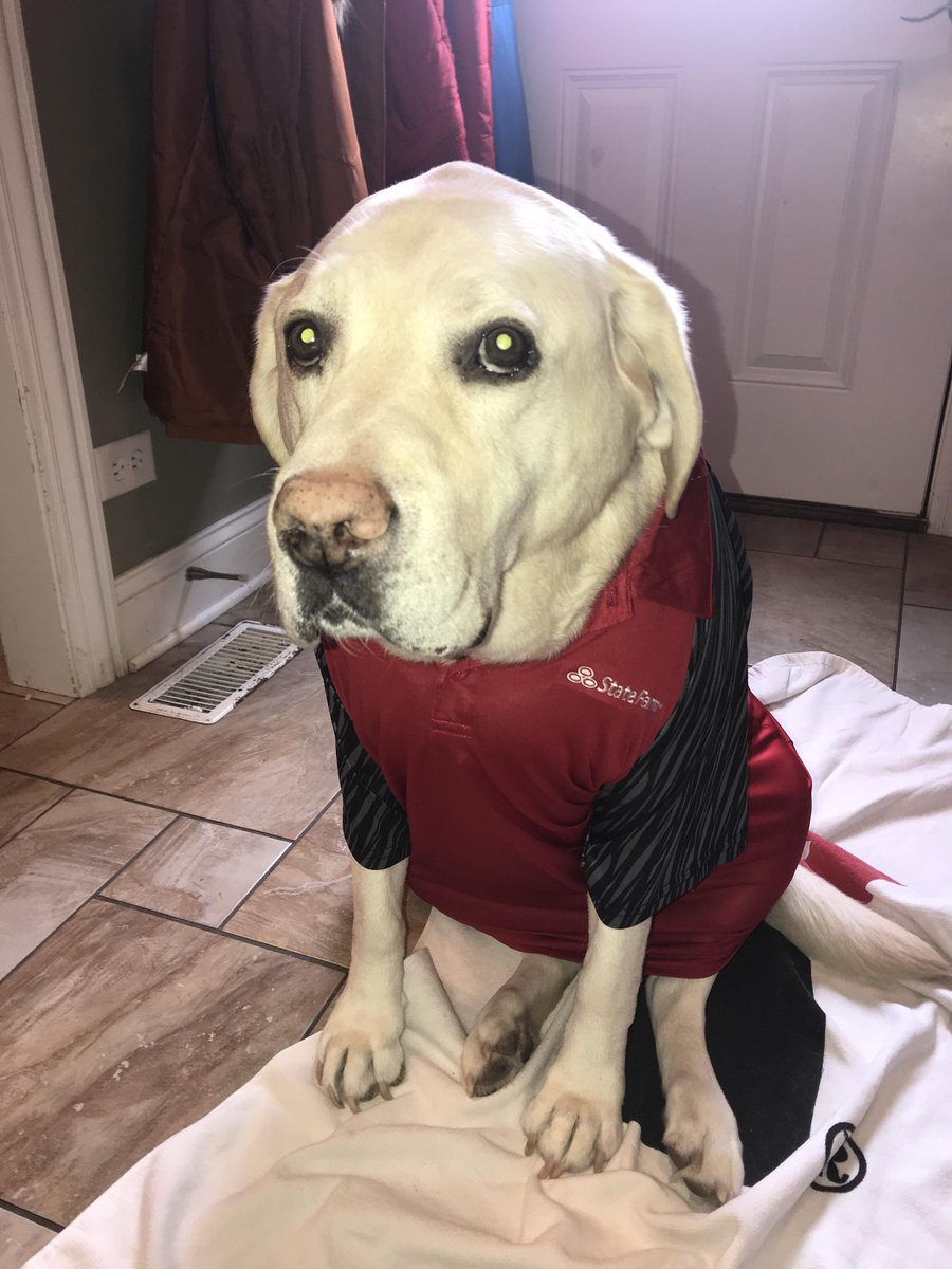 Halas is ready to celebrate khaki day!  He’s got his game face on.  We are ready to assist!

#khakionthebottom
#greatlikejake
#petsneedinsurancetoo
#neighborhoodofgood

Stay safe and warm today!!