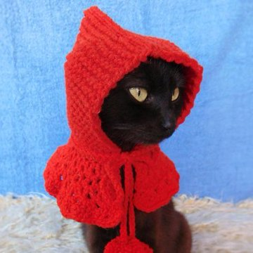 Little red riding lovren