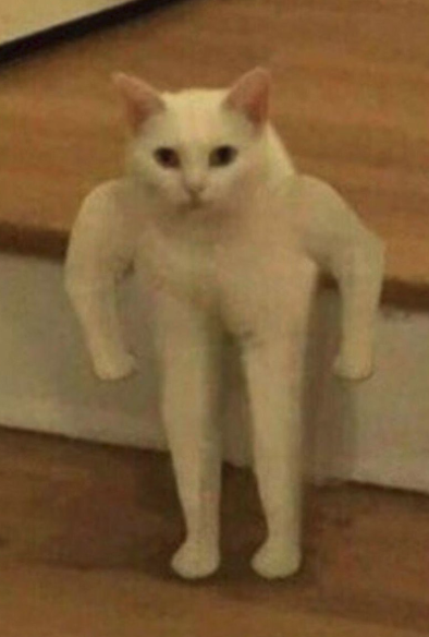 I'm so sorry  @andrewrobertso5