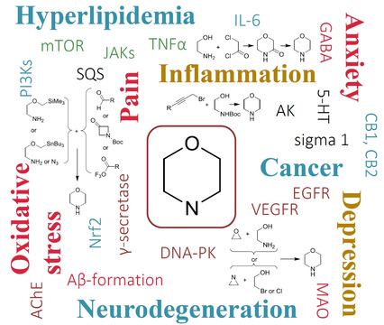 ChemMedChem's tweet photo. A.P. Kourounakis et al @UoAofficial review recent work on #morpholine compounds as privileged scaffolds in #drugdiscovery #heterocycles https://t.co/AtCZ9RiieE https://t.co/b4wrKMHxrg