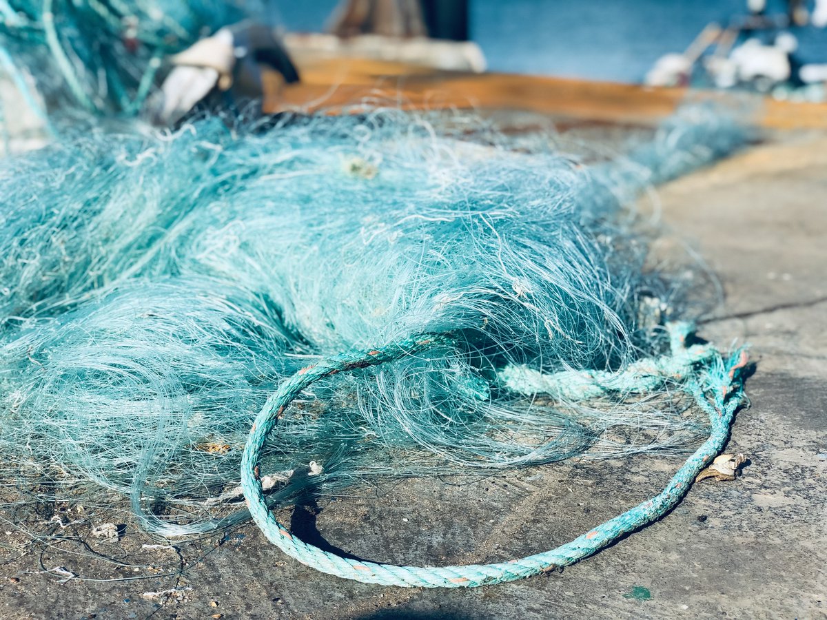 EU_MARE's tweet image. Créer des équipements de #pêche biodégradables pour lutter contre la pollution plastique &amp;amp; ses conséquences pour les mers et les océans. 

Voilà l&apos;objectif de #Indiego, le nouveau projet financé par l&apos;#UE 🇪🇺 qui vient d&apos;être lancé à @UBS_universite.

🗞️shorturl.at/bLQ23