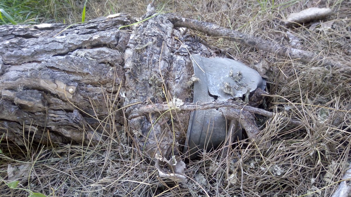 arbopalm's tweet photo. Low profile management of a tree and palm nursery.
Containers underground.
Always inspect the root ball before planting. No long term surprises.
#Treebikeride https://t.co/G1xy5dMIyt