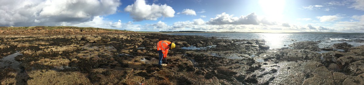 PrimeHorizontal's tweet photo. Dunnet Bay Outfall, Scotland, U.K. #ParaTrackGyroModule
Entry Coil: 345 m
Water Blind -> Outfall Exit: 375 m
Tracking: Gyro Module
Technique: River Crossing
Entry Elevation: +8.97m
Deepest Point: -55.14m
P2 Guidance coil =>347m, =>Exit (724.17m) with P2 Probe & #Gyro shots. https://t.co/y6auvTGh7U