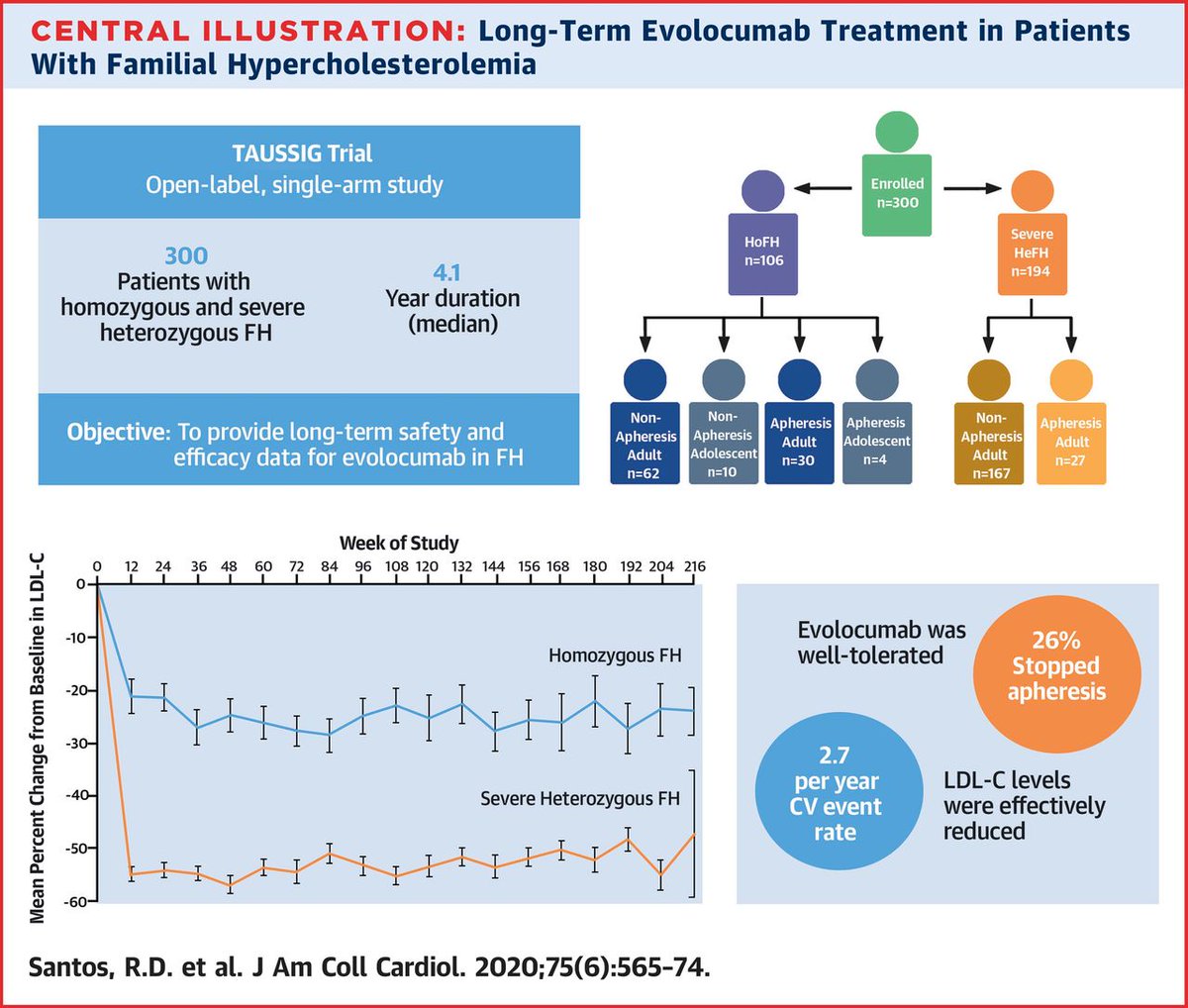 JACCJournals's tweet photo. Evolocumab shows long-term safety and efficacy in plasama LDL-C level reduction over a median 4.1 years in severe familial hypercholesterolemia patients. How will this impact your practice? https://t.co/q8CPu8VFID #JACC @rauldsf_santos https://t.co/BOxWN5Z2SD
