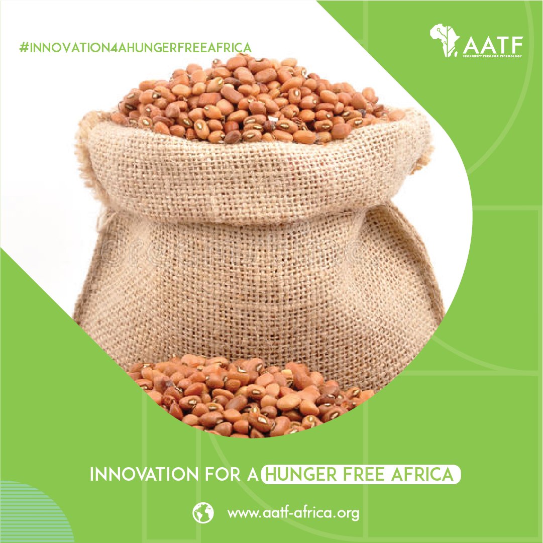 Apart from Goal 2 and Goal 13, #ClimateSmartAgriculture actions can support the achievement of all other Sustainable Development Goals #innovation4ahungerfreeafrica #Agritech #Agtech #AgInnovation #Agriculture #SmartFarming #SDGs #ClimateSmartFarming #Prosperitythroughtechnology