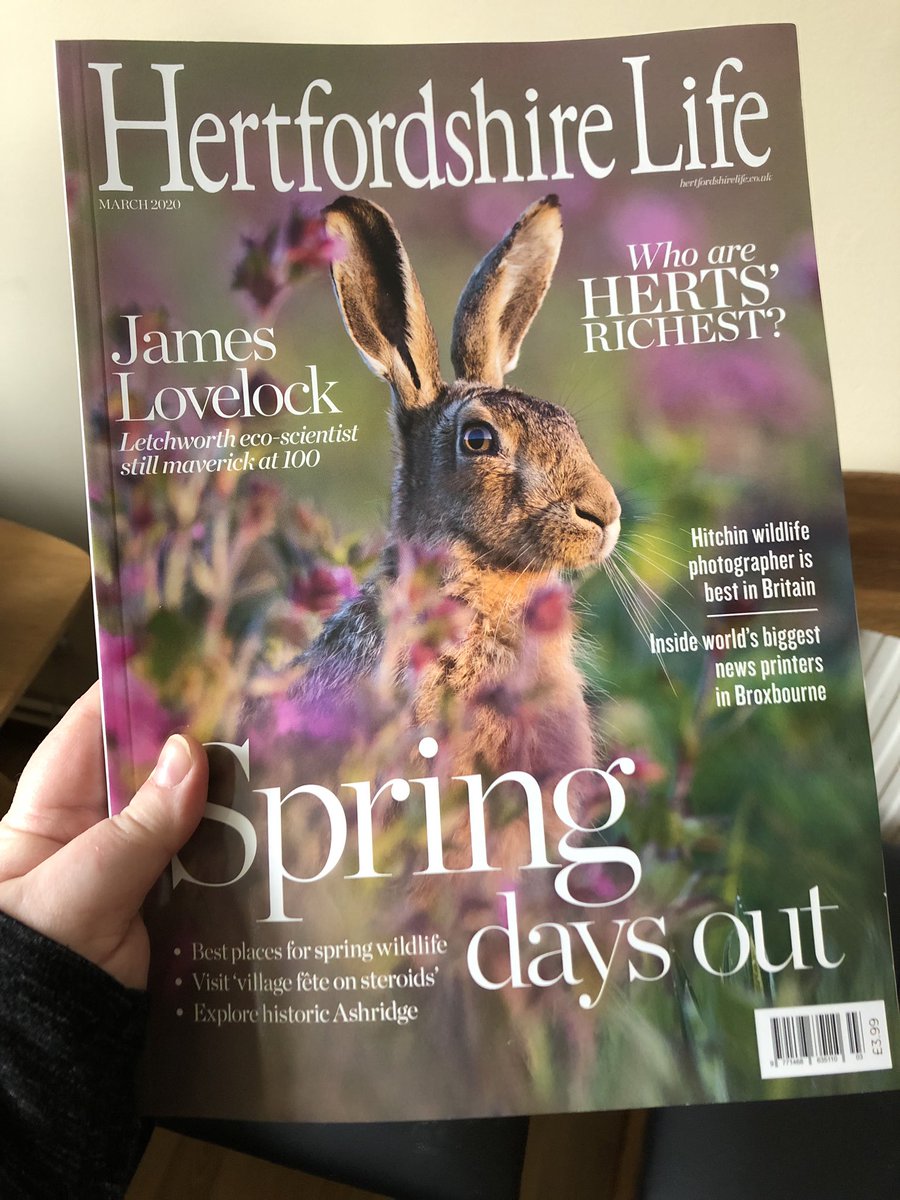 TaidenTrilogy's tweet photo. Thrilled to have been invited as this month’s local author to write the ‘What I’ve Been Reading’ column in the March issue of @hertslife Magazine! Grab your copy today! 😬 EC #WritingCommunity #Author #TAIDENSTRUTH #TIMEFORTAIDEN https://t.co/pPKyuTcRB1
