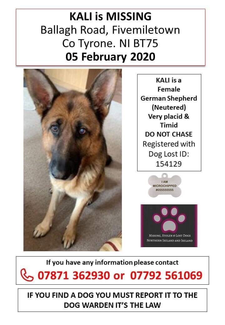 colliesontherun's tweet photo. ❗MISSING❗
Can everyone please share Kali
#GSD from #FiveMileTown #CoTyrone NI #BT75
Missing from 5th February 2020 with no positive sightings
Please help me get Kali far & wide
❗SHARE, SHARE, SHARE❗
#BRINGKALIHOME
https://t.co/jOtNcE32mU https://t.co/DuAOA9Qoqs