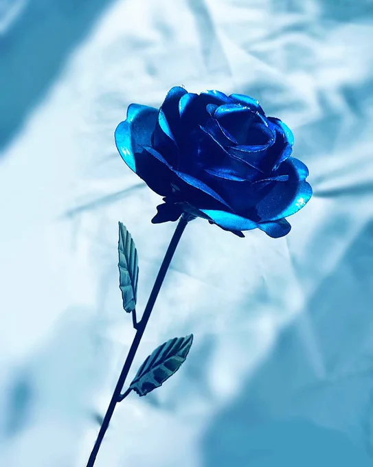 描いた絵と撮った写真

モチーフはメタリックでできた青薔薇の置物 