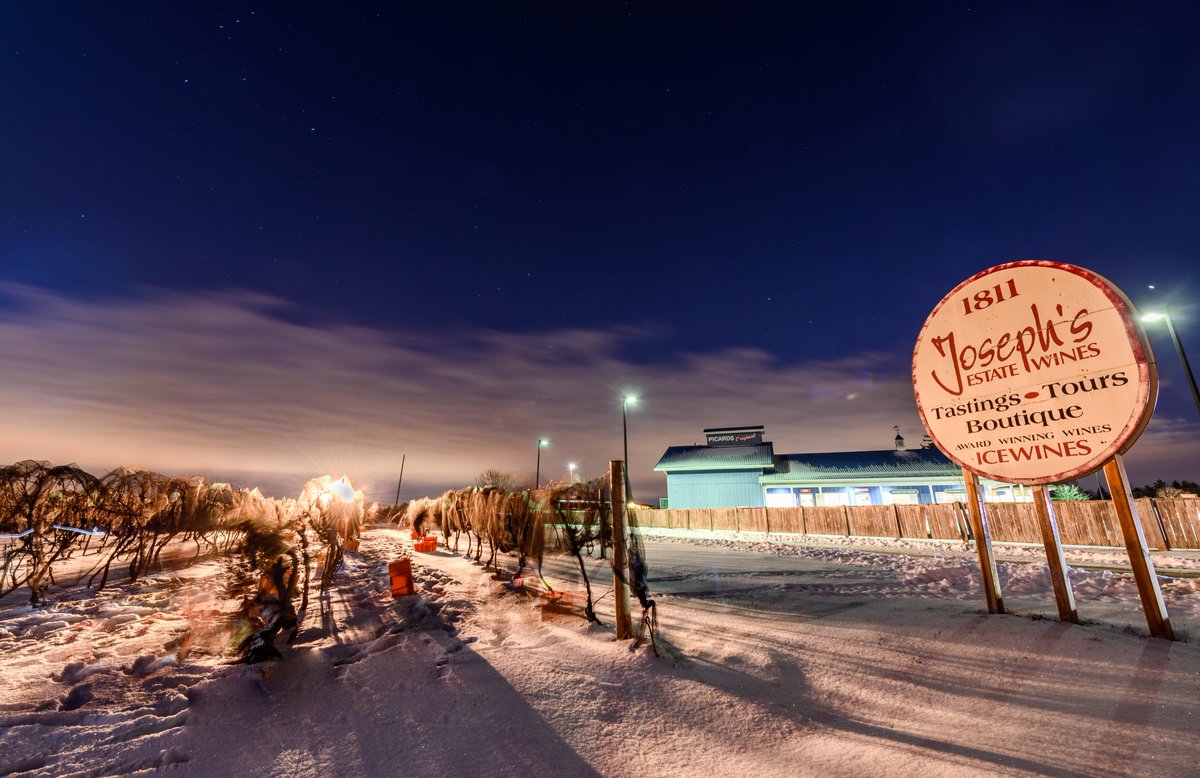 josephs_wine's tweet photo. We brought in the last of our Vidal Icewine grapes last Sat night.....2019 harvest complete!!! #harvest2019 #icewine #icewineharvest #notlwine #vqaontario #handpicking #冰酒 #josephsestatewines #vidalicewine https://t.co/KWD0POpIIg