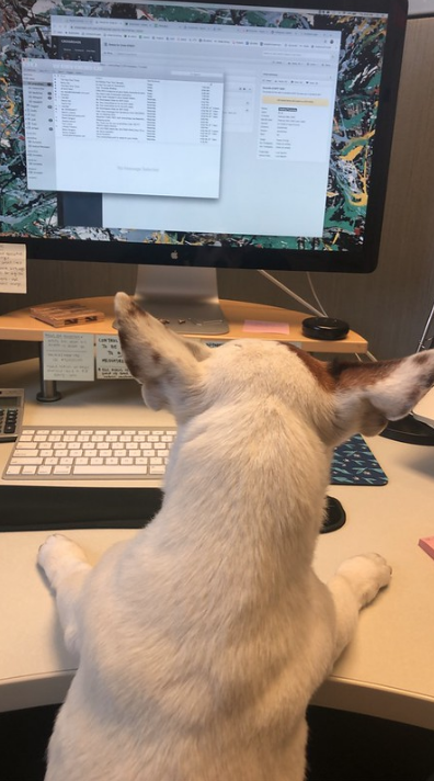 smartyPass's tweet photo. #coworkers https://t.co/ehJxramC5c