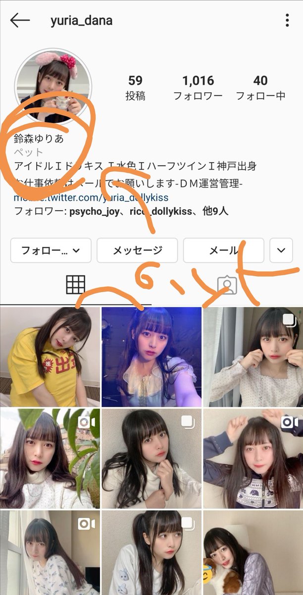 こたろー Twitterren すずもりのインスタのカテゴリラベル ペットなのかわいい