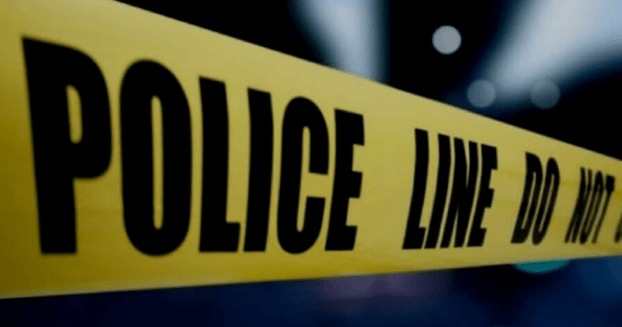 Armed Robber Fatally Shot by Licensed Firearm Holder, in St Thomas