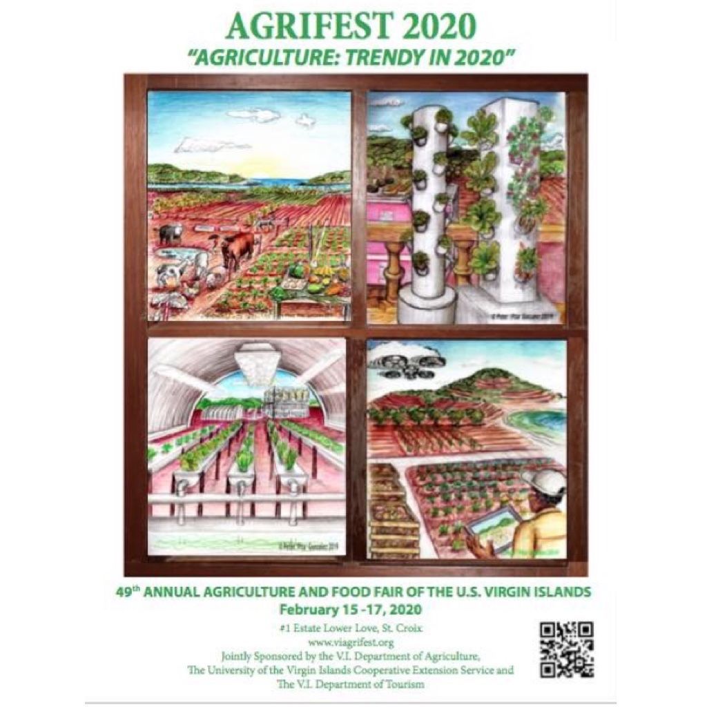 vi_foodtours's tweet photo. Agrifest 2020 is taking place this weekend in Estate Lower Love on St. Croix. This event that attracts over 30,000 visitors is the perfect opportunity to indulge in the best of St. Croix’s agriculture. #Agrifest2020 #visitStCroix https://t.co/t4A86dd5zR