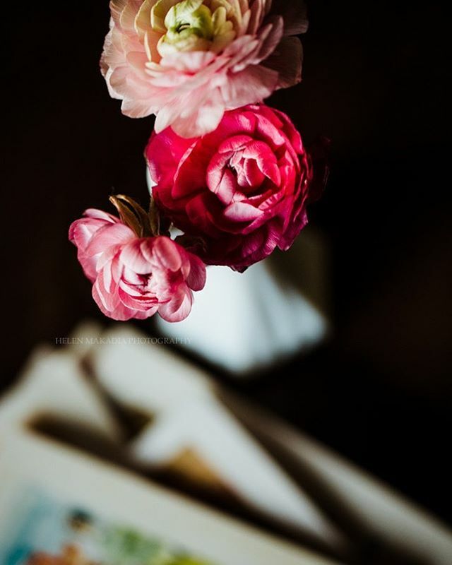 Flowers make it all better. 💕
.
.
.
#keeponcreating #ranunculus #exceptionalstilllife #calledtobecreative #styleonstillness #blissfulphotoart #tv_still_life #bitsofrusticcharm #transfer_visions #nothingisordinary_ #mystoryoflight #seedscolor #seekins… ift.tt/38Amxf7