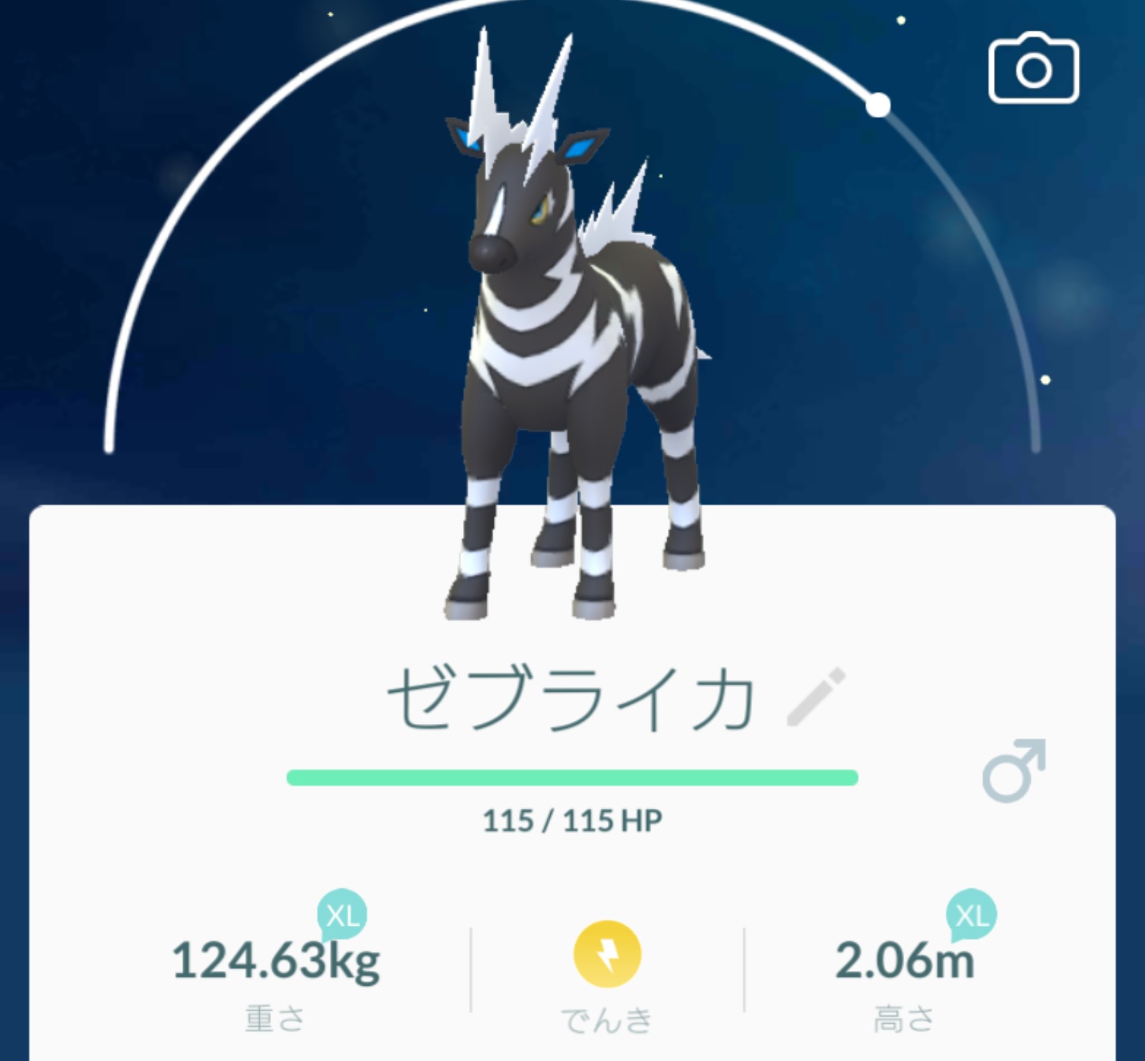 Mitsuki オブ Mitsuki Auf Twitter 4か月前に1匹ゲットしてから全く出会わなかったシママが レイドバトルに居たので一人参戦でやっと2匹目ゲットして進化できた ツンツンしたら白のシマが黄色になるよ シママ ゼブライカ ポケモンgo T Co Mitsuki オブ Mitsuki Auf Twitter 4か月前に1匹ゲットしてから全く出会わなかったシママが レイドバトルに居たので一人参戦でやっと2匹目ゲットして進化できた ツンツンしたら白のシマが黄色になるよ シママ ゼブライカ ポケモンgo T Co