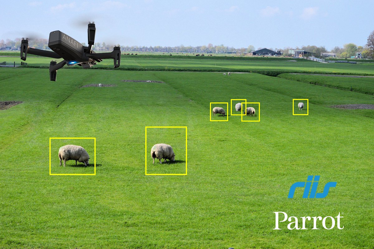 Parrot's tweet photo. Happy to announce our new SDK partner @riisllc in developing custom applications for ANAFI like the “Cattle Counter” allowing farmers and agriculture professionals to effortlessly and accurately quantify the size of cattle herds to automate the monitoring and counting process! https://t.co/LjI8rmgPrp