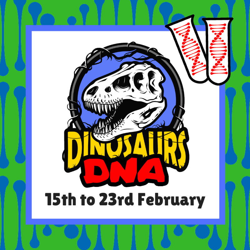 This half term take part in our Dinosaur DNA hunt.
Find the DNA and discover the dinosaurs!
15th to 23rd February.

Book your tickets today: thedinosaurmuseum.com