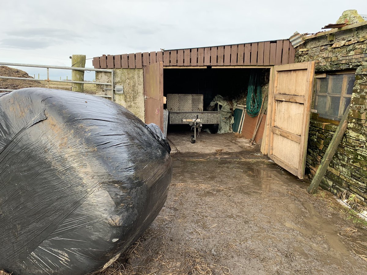 NavajoBirdsong's tweet photo. Bale got n unloaded.. waited til icy road melted cos #woose, 

Got some soup on quickly.. so will give last of hay to horses while it cooks.. (soup cooks-not hay!) 

Then something to do with #Nuns tonight?! 😳😂

#busy #dayoff https://t.co/Ri9MbgQ8Fe