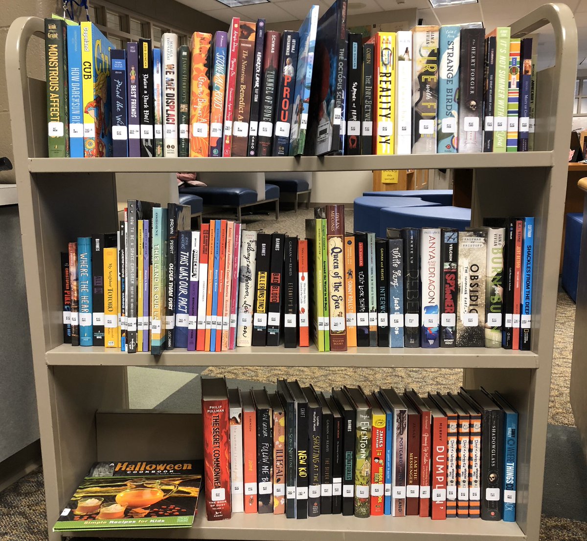 LibraryGeek678's tweet photo. Part one of the spring book order came in, and Iβm in BOOK HEAVEN. Canβt wait to put these out for the kiddos! π€ #follett #diversifyingthecollection #happylibrarian @eastironms @EIMS_PTSA @CherylDobbertin https://t.co/qeV6LSAqbc