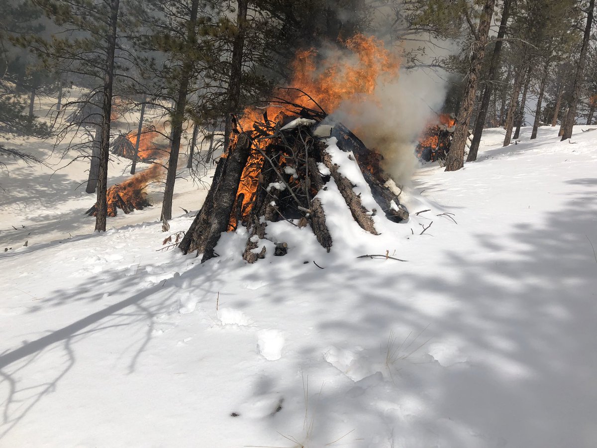 PSICC_NF's tweet image. Crews from the #PikesPeakRD will continue making progress on burning slash piles in Crowe Gulch today. These pile burns will be visible from Colorado Springs, Cascade/Green Mtn Falls, and the highway 24 corridor from Woodland Park to Colorado Springs.