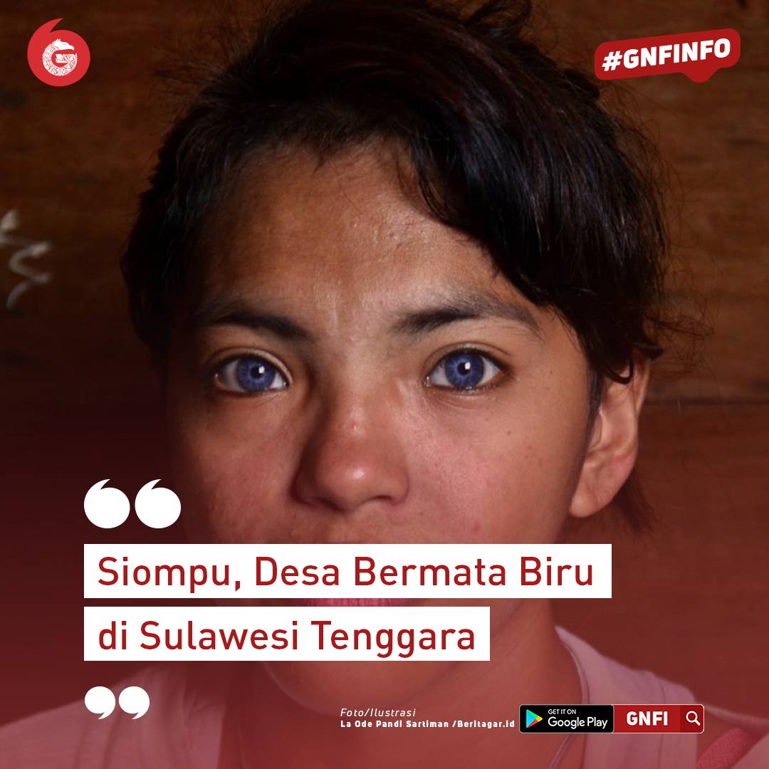 Desa Kaimbuawa, Kecamatan Siompu, Kecamatan Siompu, Kabupaten Buton Selatan, Sulawesi Tenggara ini terdapat orang-orang bermata biru karena dulu sekali masyarakatnya menikah dengan orang-orang Portugis.