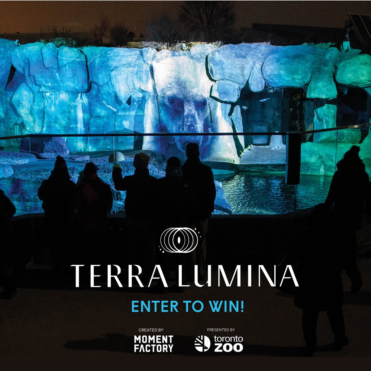 TerraLuminaTO's tweet photo. ✨ GIVEAWAY ✨ RT to WIN one of two family packs of four passes to #TerraLumina at the Toronto Zoo 💫🌎 

Giveaway ends 18/02/19 and winner will be randomly selected on 18/02/19. Tickets are available at https://t.co/gPfABAUOMO. https://t.co/BjwSzuVZ37