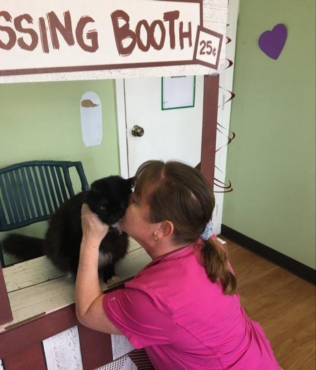 Cats Exclusive tweet media