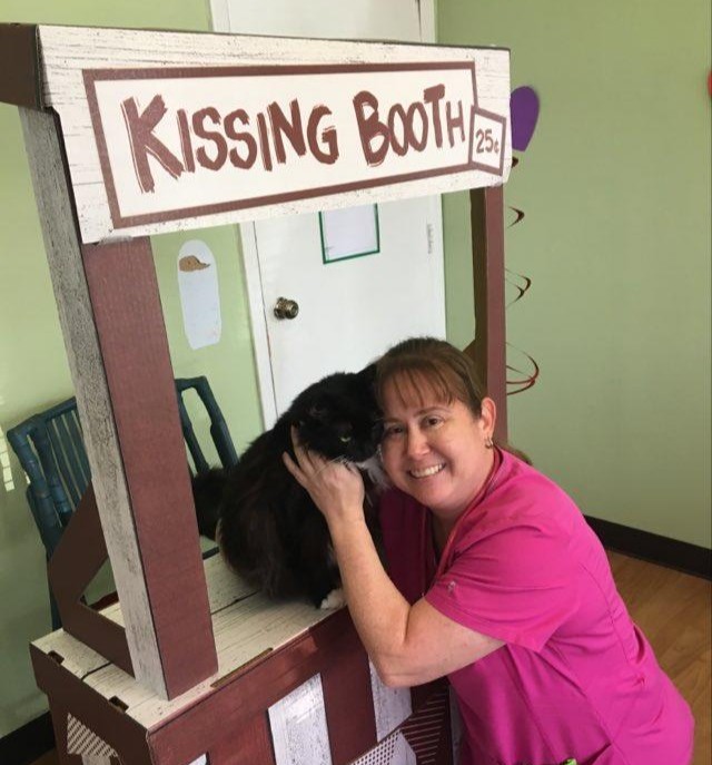 Cats Exclusive tweet media