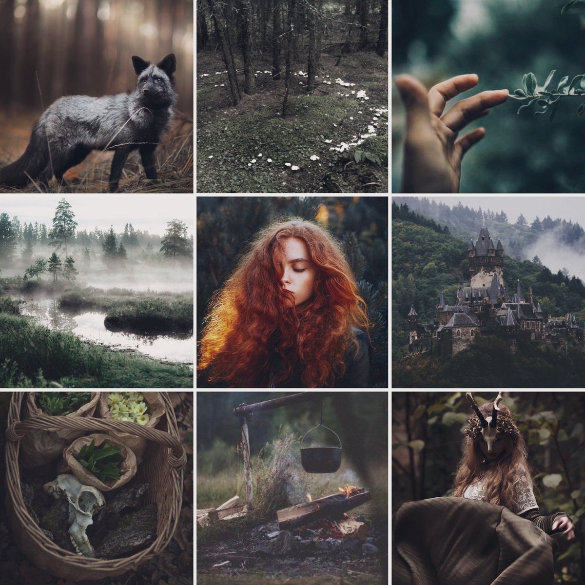 GinaKDonnelly's tweet photo. Today has been a very tiring day and now I’m ready to curl up in bed with a good book ✨ 

But I wrote another 1k words for my #IrishWitchFaeWIP ☘️🔮 I’m so excited to get to the next few chapters! This aesthetic sums up the last two chapters nicely #amwriting https://t.co/QMcoDOvkd0