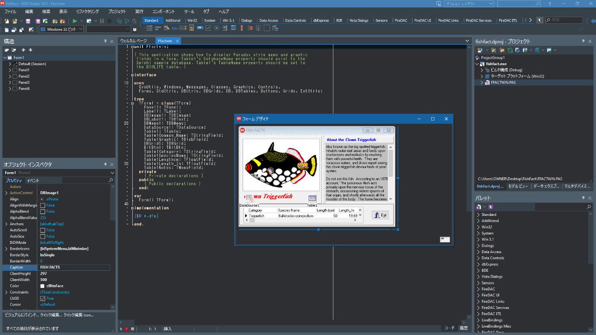 ht_deko's tweet image. FISH FACTS 2020 #Delphi25th
* You need to install BDE separately.